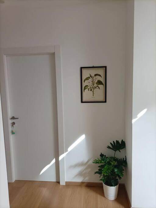 Loving My Rooms 1 - Deliziosa Mansarda In Centro 고리치아 외부 사진